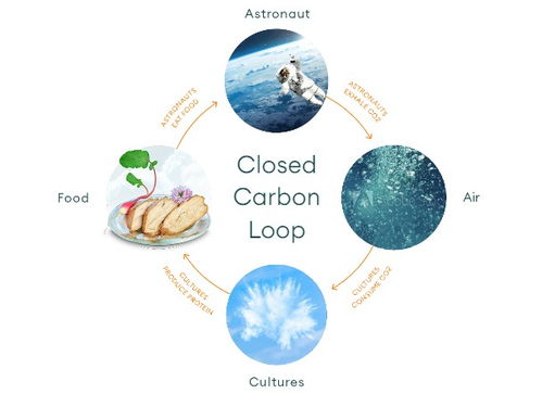 空氣制肉 無需植物的生物科技新革命